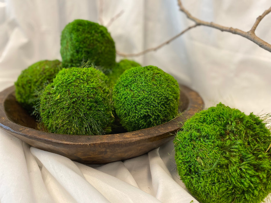 4" Small Moss Ball