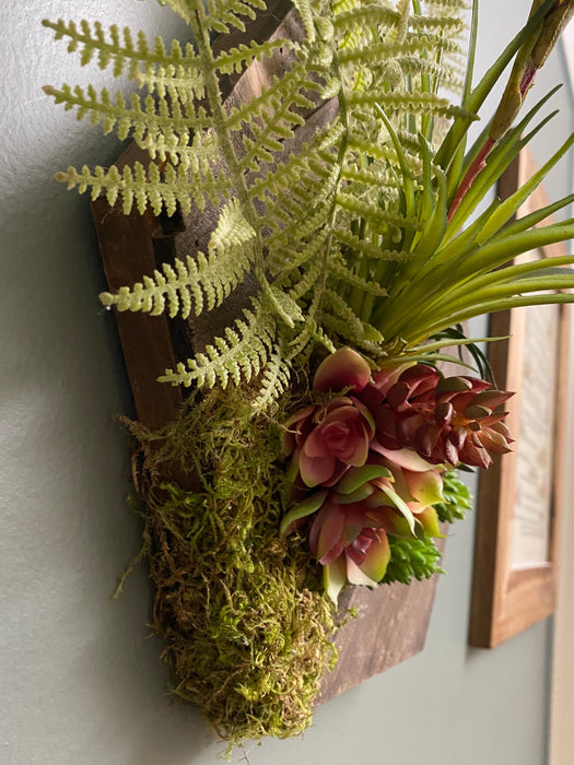 Succulents on Oval Wood